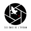 Logo of the association Association Les Amis de l'IFFCAM